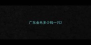 广东金毛多少钱一只