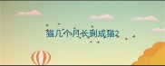 猫几个月长到成猫