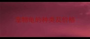 宠物龟的种类及价格