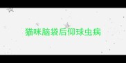 猫咪脑袋后仰球虫病