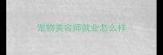 宠物美容师就业怎么样
