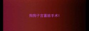 狗狗子宫蓄脓手术