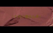 1个月小猫怎么养