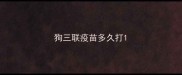 狗三联疫苗多久打