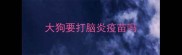 大狗要打脑炎疫苗吗