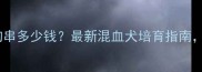 边牧和土狗串多少钱最新混血犬培育指南优缺点全