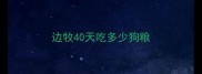 边牧40天吃多少狗粮