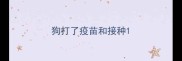 狗打了疫苗和接种