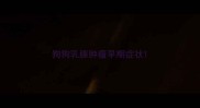 狗狗乳腺肿瘤早期症状