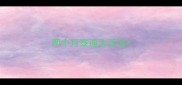两个月泰迪太活泼