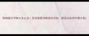 狗狗腿关节肿大怎么办资深兽医详解症状识别病因及科学护理方案