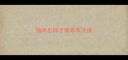 猫咪怎样才肯乖乖洗澡
