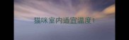 猫咪室内适宜温度