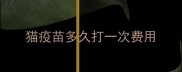 猫疫苗多久打一次费用