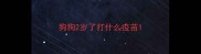 狗狗2岁了打什么疫苗