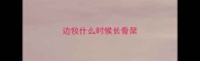 边牧什么时候长骨架