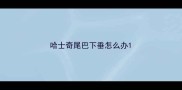 哈士奇尾巴下垂怎么办