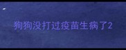 狗狗没打过疫苗生病了