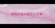 狗狗学狼叫是怎么回事