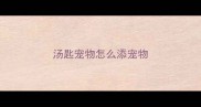 汤匙宠物怎么添宠物