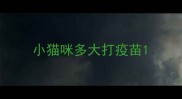 小猫咪多大打疫苗