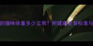 两个月大的猫咪体重多少正常附健康发育标准与饲养指南