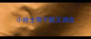 小哈士奇干呕又调皮