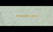 狗狗病毒感冒什么症状