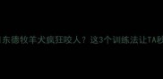 新手必看五个月东德牧羊犬疯狂咬人这3个训练法让TA秒变温顺小天使