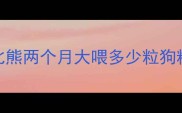 比熊两个月大喂多少粒狗粮