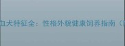 萨摩耶金毛混血犬特征全性格外貌健康饲养指南附选购技巧