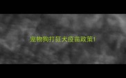 宠物狗打狂犬疫苗政策