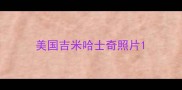 美国吉米哈士奇照片