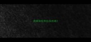 贵宾和拉布拉多的串