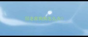 回老家狗狗怎么办