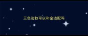 三色边牧可以和金边配吗