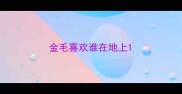 金毛喜欢谁在地上
