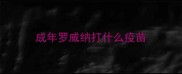 成年罗威纳打什么疫苗