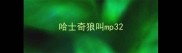 哈士奇狼叫mp3