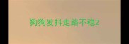狗狗发抖走路不稳