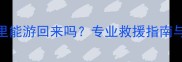 哈士奇掉水里能游回来吗专业救援指南与应对措施全