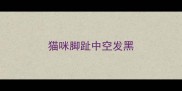 猫咪脚趾中空发黑