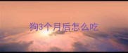 狗3个月后怎么吃