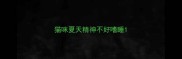 猫咪夏天精神不好嗜睡