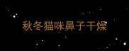 秋冬猫咪鼻子干燥