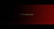 6个月公猫咪饭量