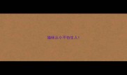 猫咪从小不怕生人