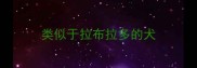 类似于拉布拉多的犬