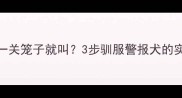哈士奇一关笼子就叫3步驯服警报犬的实战指南