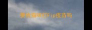 要给猫咪打Fip疫苗吗